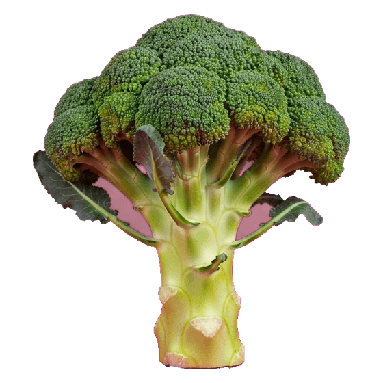 brócoli