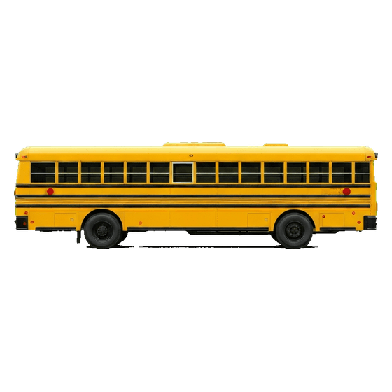 colectivo