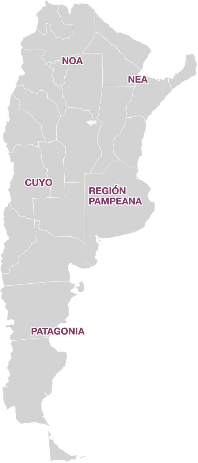 Mapa de Argentina dividido en regiones: NOA, NEA, Cuyo, Región Pampeana y Patagonia